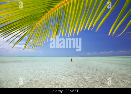 Man fly fishing for bonefish in the Bahamas Stock Photo
