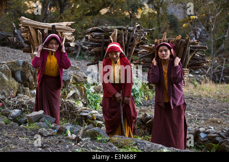 NUNS haul firewood in DOLKO baskets in preperation for winter at a remote TIBETAN BUDDHIST MONASTERY - NEPAL HIMALAYA Stock Photo