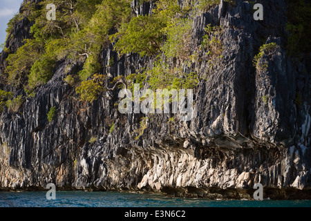 LIMESTONE CLIFFS on a small island near BUSUANGA ISLAND in the CALAMIAN GROUP - PHILIPPINES Stock Photo