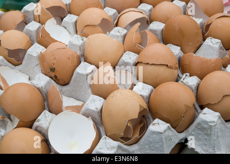 broken eggshells Stock Photo