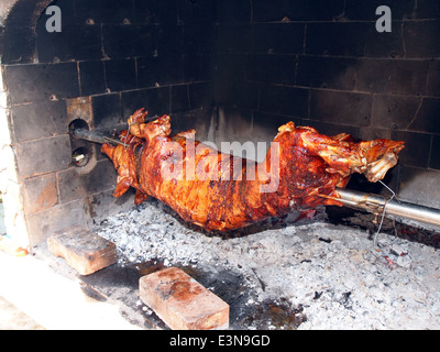 grilled pig on the fire Stock Photo