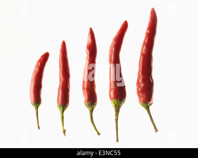 Red chilies in the order of size over white background Stock Photo