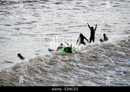 Surfers and canoeists riding the Severn Bore at Newnham-on-Severn, Gloucestershire UK 2014 Stock Photo