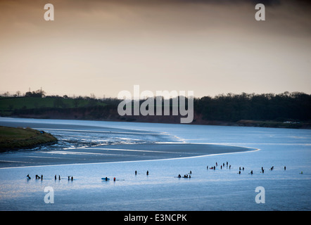 Surfers and canoeists waiting for the approaching Severn Bore tidal wave at Newnham-on-Severn, Gloucestershire UK 2014 Stock Photo