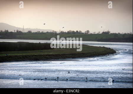 Surfers and canoeists riding the Severn Bore tidal wave at Newnham-on-Severn, Gloucestershire UK 2014 Stock Photo