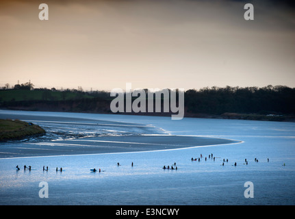 Surfers and canoeists waiting for the approaching Severn Bore tidal wave at Newnham-on-Severn, Gloucestershire UK 2014 Stock Photo