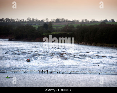 Surfers and canoeists riding the Severn Bore tidal wave at Newnham-on-Severn, Gloucestershire UK 2014 Stock Photo