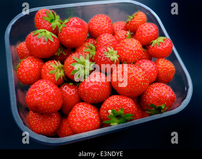 A plastic punnet of English strawberries Stock Photo