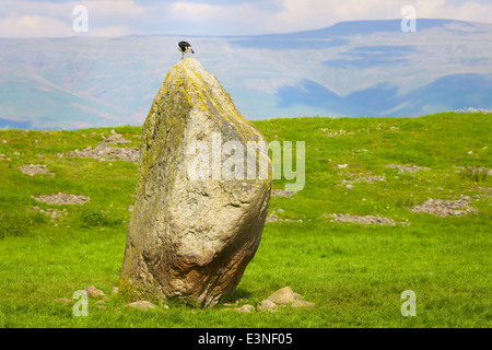 Mayburgh Henge Standing stone. Eamont Bridge, Penrith, Cumbria, England, United Kingdom. Stock Photo