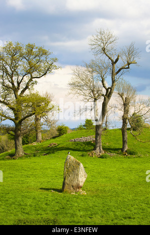 Mayburgh Henge Standing stone. Eamont Bridge, Penrith, Cumbria, England, United Kingdom. Stock Photo