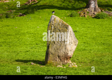 Mayburgh Henge Standing stone. Eamont Bridge, Penrith, Cumbria, England, United Kingdom. Stock Photo