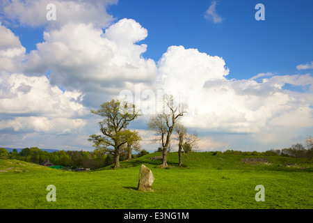 Mayburgh Henge Standing stone. Eamont Bridge, Penrith, Cumbria, England, United Kingdom. Stock Photo