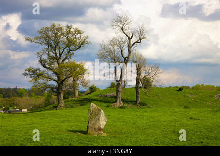 Mayburgh Henge Standing stone. Eamont Bridge, Penrith, Cumbria, England, United Kingdom. Stock Photo