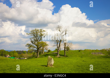 Mayburgh Henge Standing stone. Eamont Bridge, Penrith, Cumbria, England, United Kingdom. Stock Photo