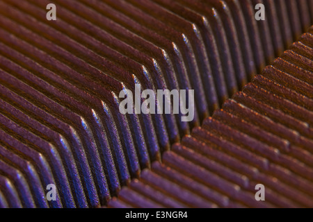 Macro-photo showing the cooling fins of a PC CPU cooling (fan) unit. For focus info see 'Description' section. Stock Photo