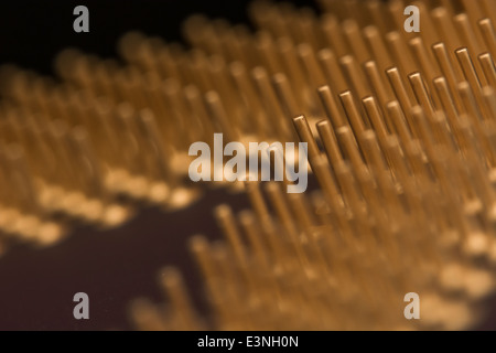 Micro-photo of gold coated pins of a computer CPU. For focus point see 'Description' section. Stock Photo