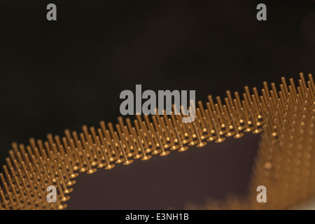 Micro-photo of gold coated pins of a computer CPU. For focus point see 'Description' section. Stock Photo