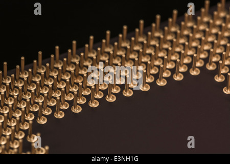 Micro-photo of gold coated pins of a computer CPU. For focus point see 'Description' section. Stock Photo