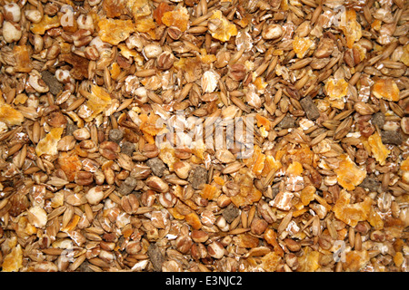 �ʴڱ�����ü������ Stock Photo
