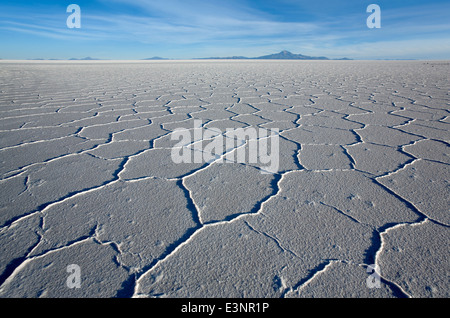 Salt hexagons. Salar de Uyuni. Bolivia Stock Photo