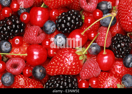 Collection of cherries, strawberries, bilberries, red currants, raspberries and blackberries Stock Photo