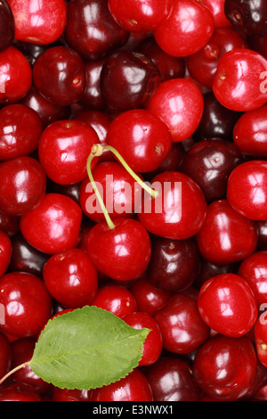 Group of fresh cherries forming a background Stock Photo
