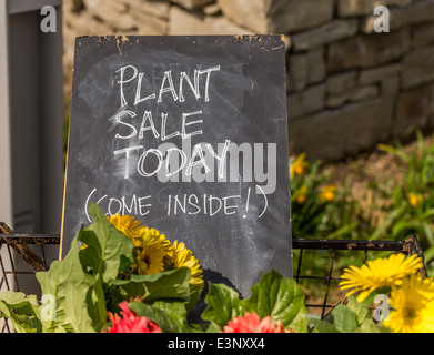 A plant sale today sign invites people to come inside. Stock Photo