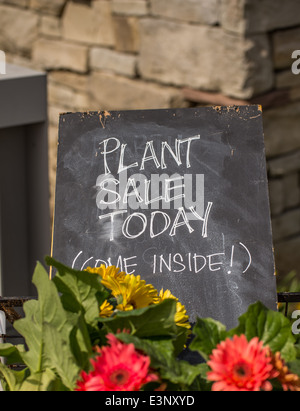 A plant sale today sign invites people to come inside. Stock Photo