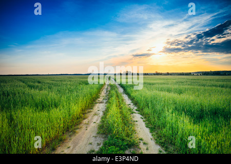 Sunset over rural dirty countryside road in green field. Summer Stock Photo
