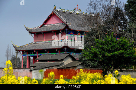 PENGZHOU, CHINA: View across a field of yellow Rapeseed flowers to the beautiful Dong Yuan Si Buddhist Temple