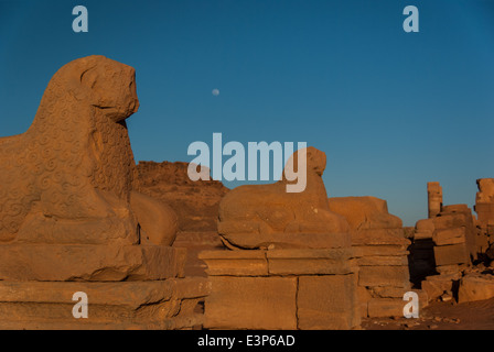 Avenue of Rams near Temple of Amun-Ra, Naqa, northern Sudan Stock Photo