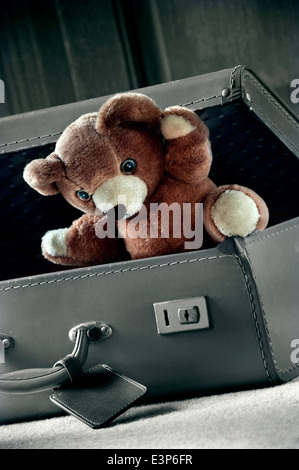Vintage Retro partial B&W treatment on Teddy Bear coming out of old leather suitcase waving Stock Photo