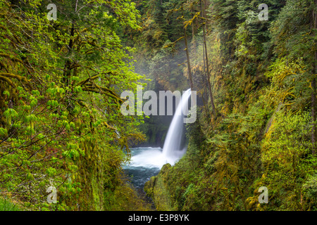 Metlako Falls in Eagle Creek in the Columbia Gorge National Scenic Area, Oregon, USA Stock Photo