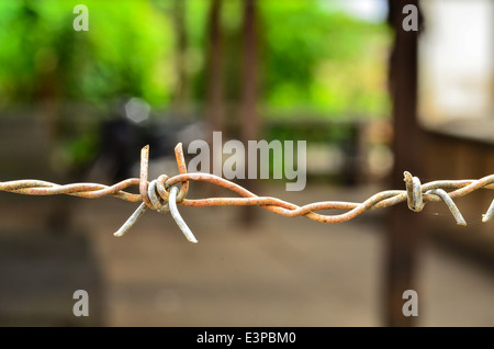 Rusty barbed wire Stock Photo