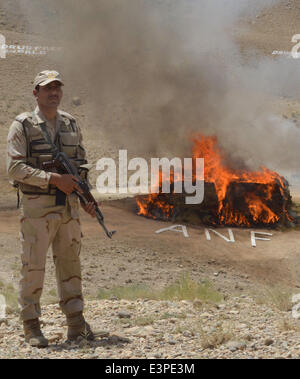 Quetta. 26th June, 2014. A Pakistani paramilitary soldier stands guard beside a burning pile of drugs during a ceremony to mark the International Day Against Drug Abuse and Illicit Trafficking, in southwest Pakistan's Quetta on June 26, 2014. Credit:  Irfan/Xinhua/Alamy Live News Stock Photo