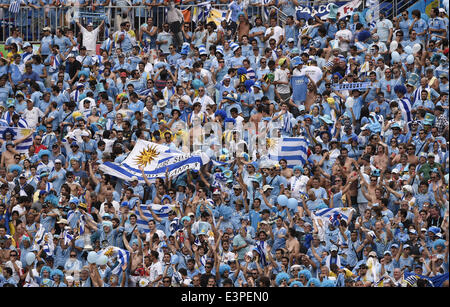 Natal, Brazil. 24th June, 2014. Uruguay's fans watch a Group D match between Italy and Uruguay of 2014 FIFA World Cup at the Estadio das Dunas Stadium in Natal, Brazil, June 24, 2014. © Lui Siu Wai/Xinhua/Alamy Live News Stock Photo