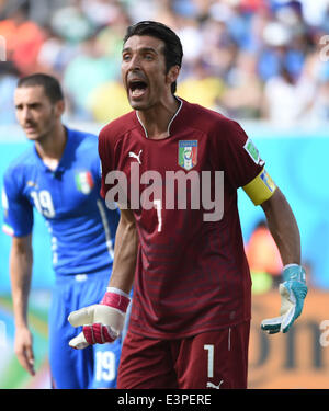 Natal, Brazil. 24th June, 2014. Italy's goalkeeper Gianluigi Buffon reacts during a Group D match between Italy and Uruguay of 2014 FIFA World Cup at the Estadio das Dunas Stadium in Natal, Brazil, June 24, 2014. © Guo Yong/Xinhua/Alamy Live News Stock Photo