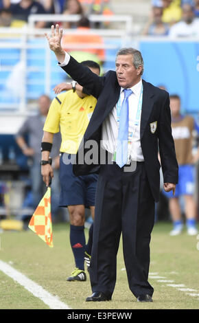 Natal, Brazil. 24th June, 2014. Uruguay's coach Oscar Washington Tabarez reacts during a Group D match between Italy and Uruguay of 2014 FIFA World Cup at the Estadio das Dunas Stadium in Natal, Brazil, June 24, 2014. Uruguay won 1-0 over Italy on Tuesday. © Lui Siu Wai/Xinhua/Alamy Live News Stock Photo