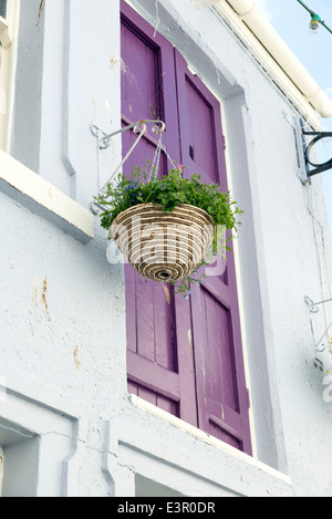 Hanging Basket in spring Stock Photo