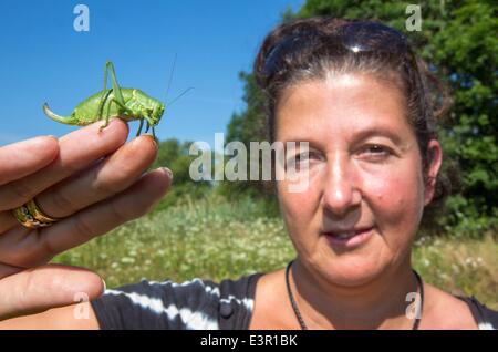 Directress of the BUND project 'Gruenes Band Deutschland' (lit.: Green band of Germany) Liana Geidezis shows a large saw-tailed bush cricket which is critically endangered in Milz, Germany, 27 June 2014. The green band is an in many parts untouched 1393 kilometers long natural area which follows the former East-West German border. Photo: Michael Reichel/dpa Stock Photo