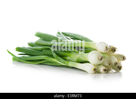 Fresh chives close up on white background Stock Photo