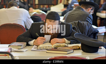 An orthodox rabbi studying Jewish law in a synagogue in Crown Heights, Brooklyn, New York Stock Photo