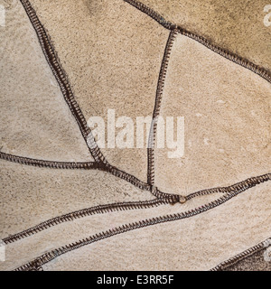 natural texture leather as a background, closeup Stock Photo