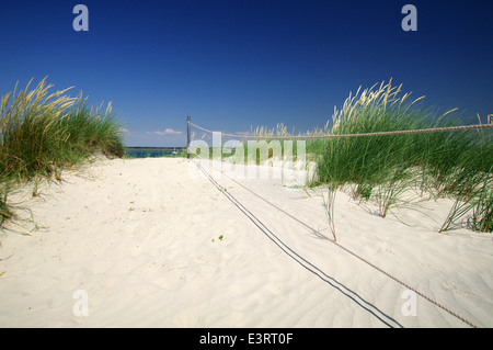 Sand dunes at East Head - West Wittering, Sussex Stock Photo