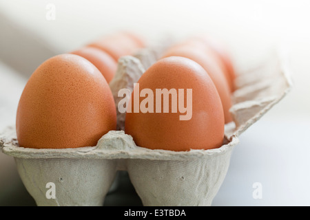 Brown eggs in paper carton Stock Photo