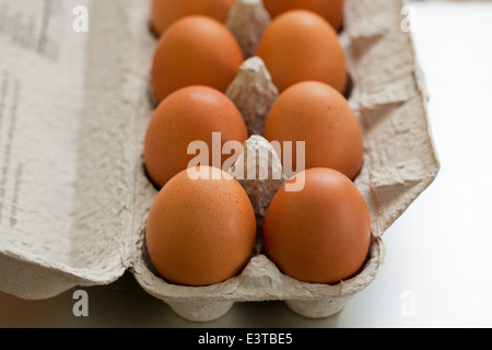 Brown eggs in paper carton Stock Photo