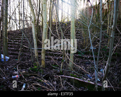 Abandoned and overgrown terracing at Park Avenue Football  Stadium Bradford West Yorkshire. Stock Photo