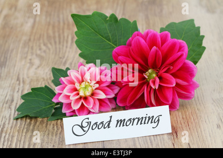 Good morning card with pink dahlia Stock Photo