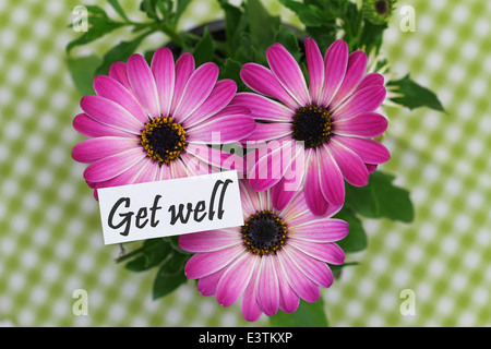 Get well card with pink gerbera daisies Stock Photo