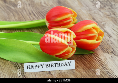 Happy Birthday card with red and yellow tulips Stock Photo